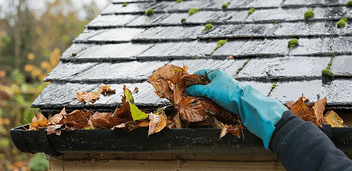 Gutter cleaning technician clearing wet leaves from roof gutters in Louisville, KY